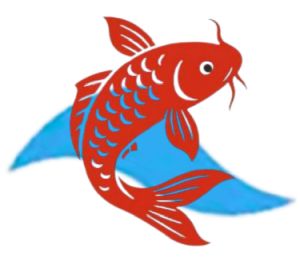 chemie do jezírka Naše Zahrady